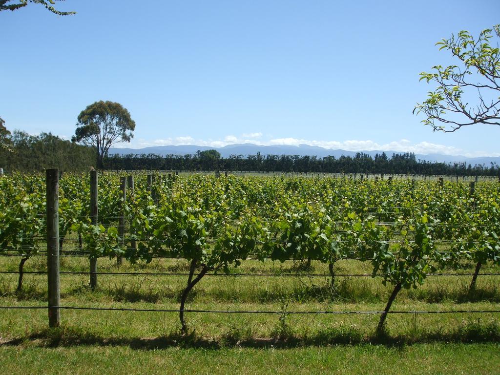Villa In The Vines Martinborough Exterior foto